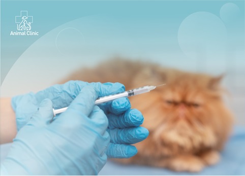 Spring viral diseases of unvaccinated animals