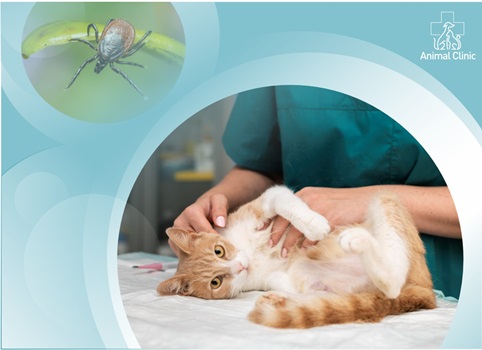 Parasitic diseases characteristic of the spring period. Part 1