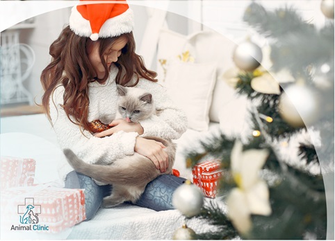 How Christmas Decorations Can Be Dangerous for Cats: Tips to Protect Your Pet