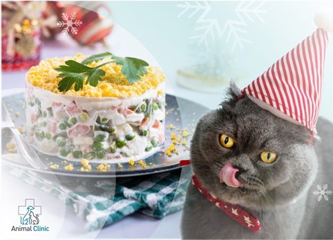 Why You Shouldn’t Feed Your Pet From the Holiday Table