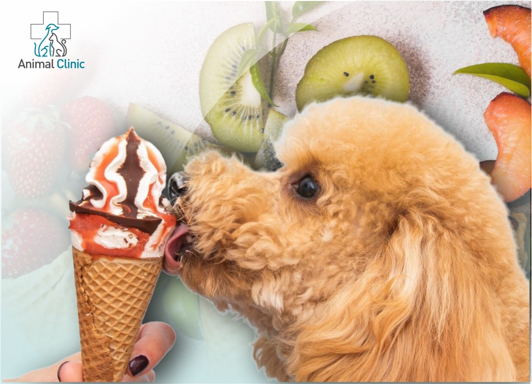 Ice Cream, Seasonal Fruits & Berries: What Pets Can and Can’t Eat