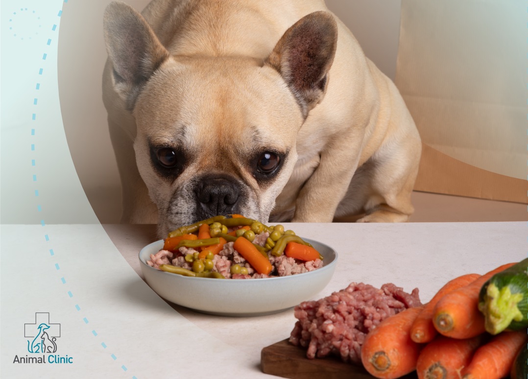 BARF Diet for Dogs: Pros, Cons, and a Veterinarian’s Advice
