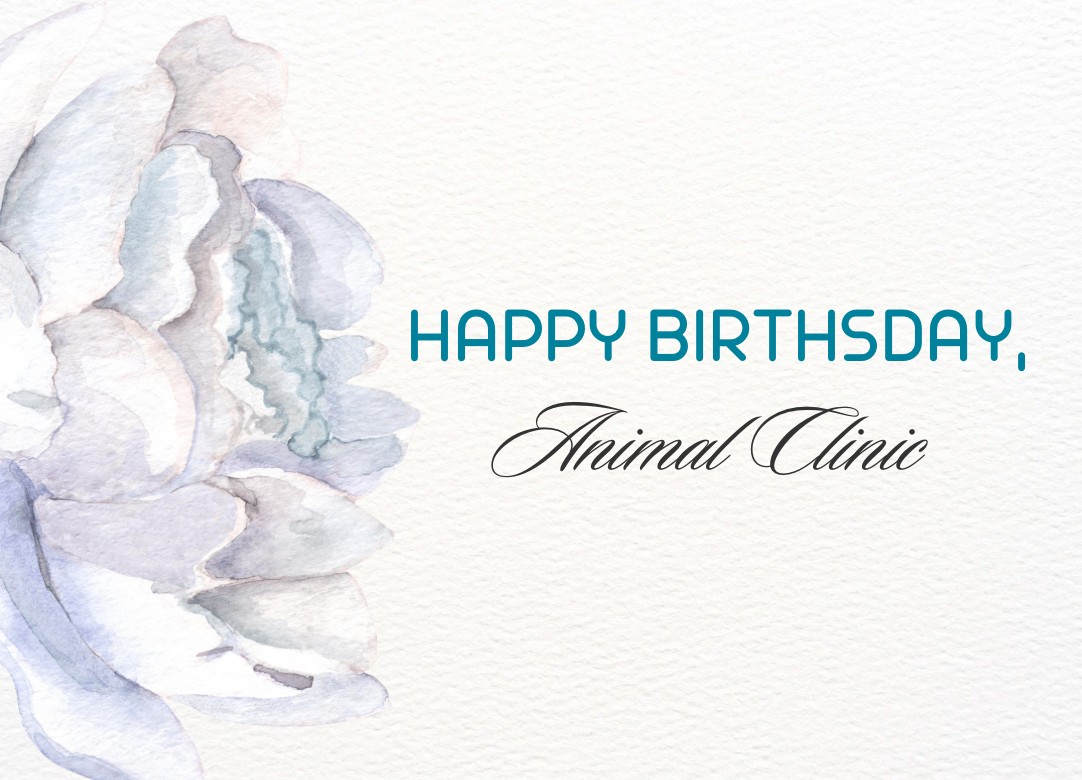 Animal Clinic Anniversary — April 20, 2018