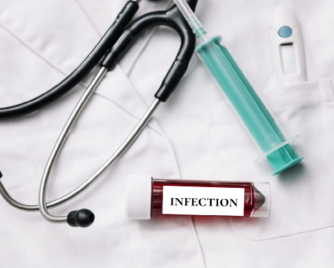 Blood parasitic diseases of dogs and cats