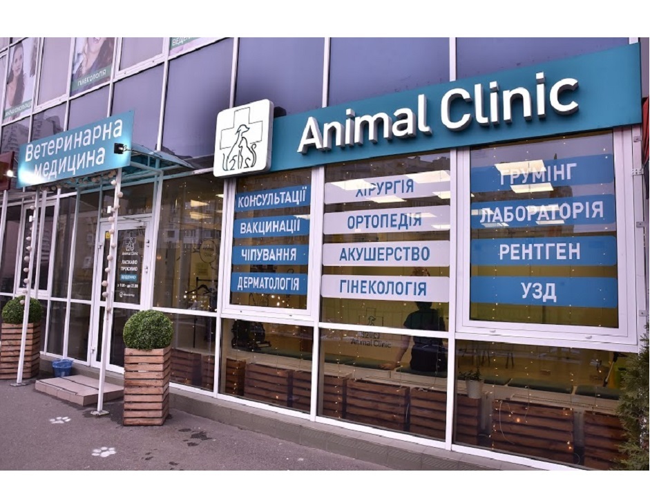 How to choose a veterinary clinic?
