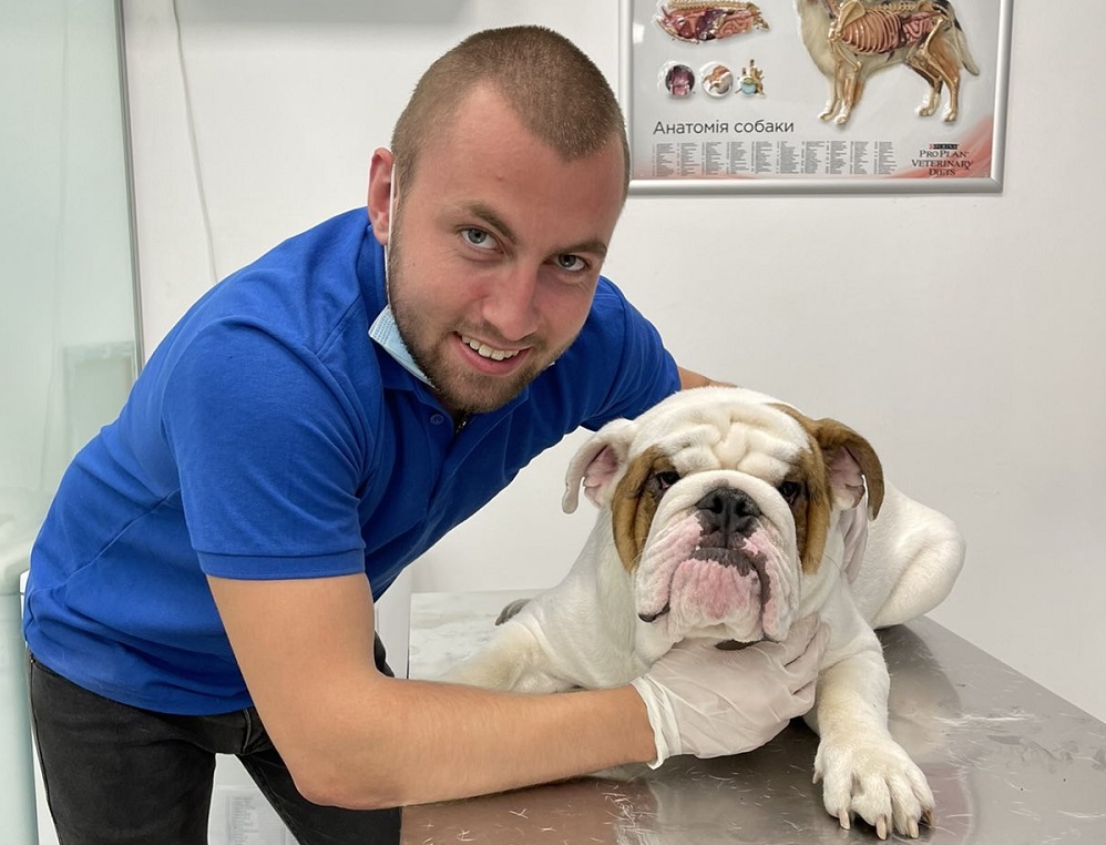 Recommendations for dog care