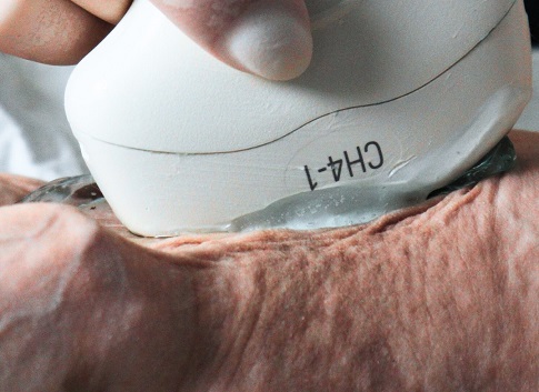 Observation of animal pregnancy by a veterinarian-obstetrician: what diagnostics are needed and why?