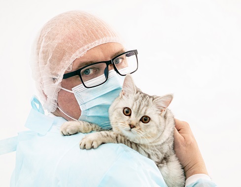 How should the owner behave at the vet's appointment?