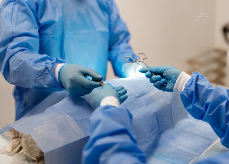 What are the dangers of home surgery for animals?