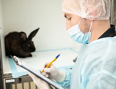 Changes in the diet of rodents and rabbits with the onset of colds