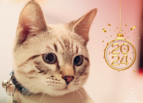 Dear friends, we sincerely  wish you a Merry Christmas and a Happy New Year!