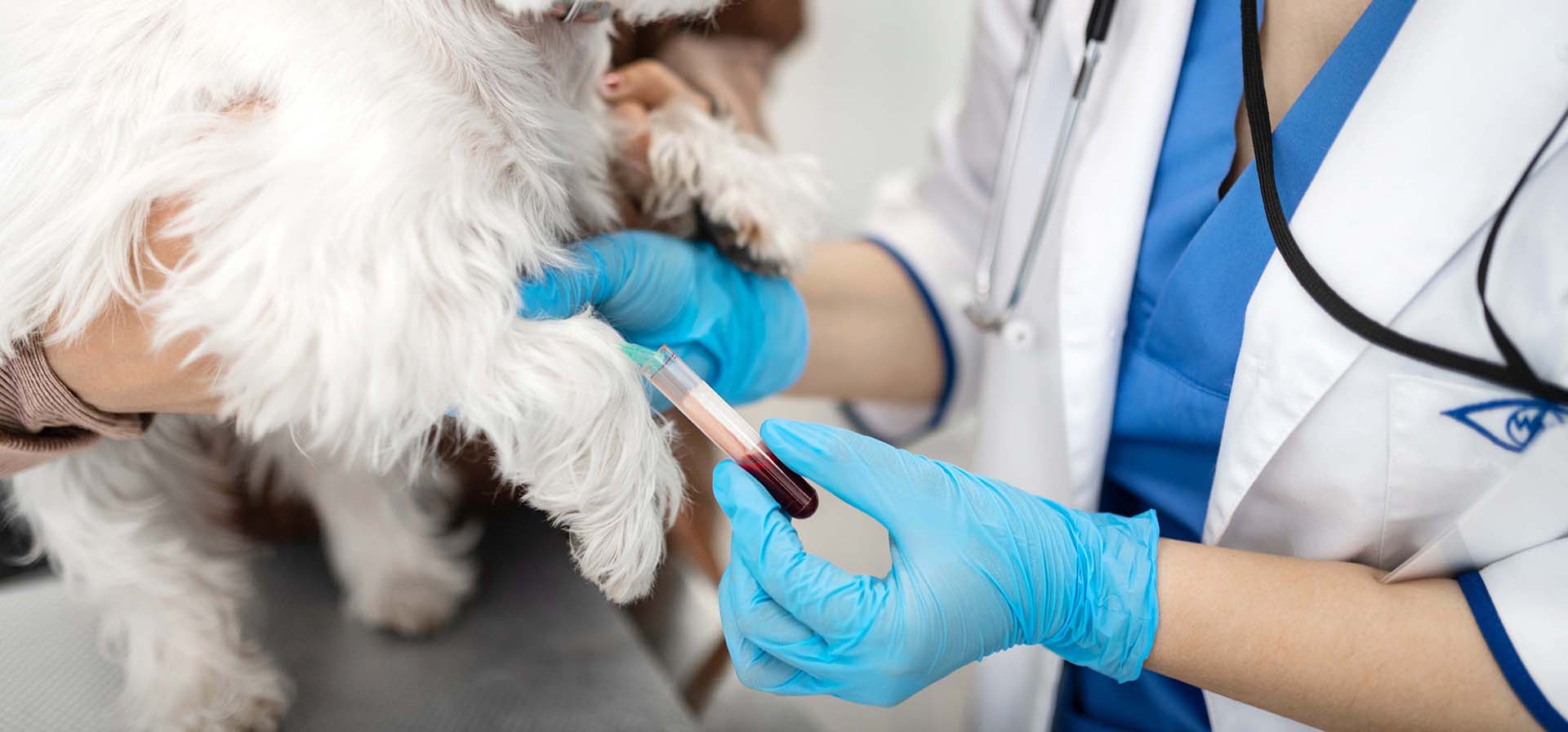 Veterinary laboratory