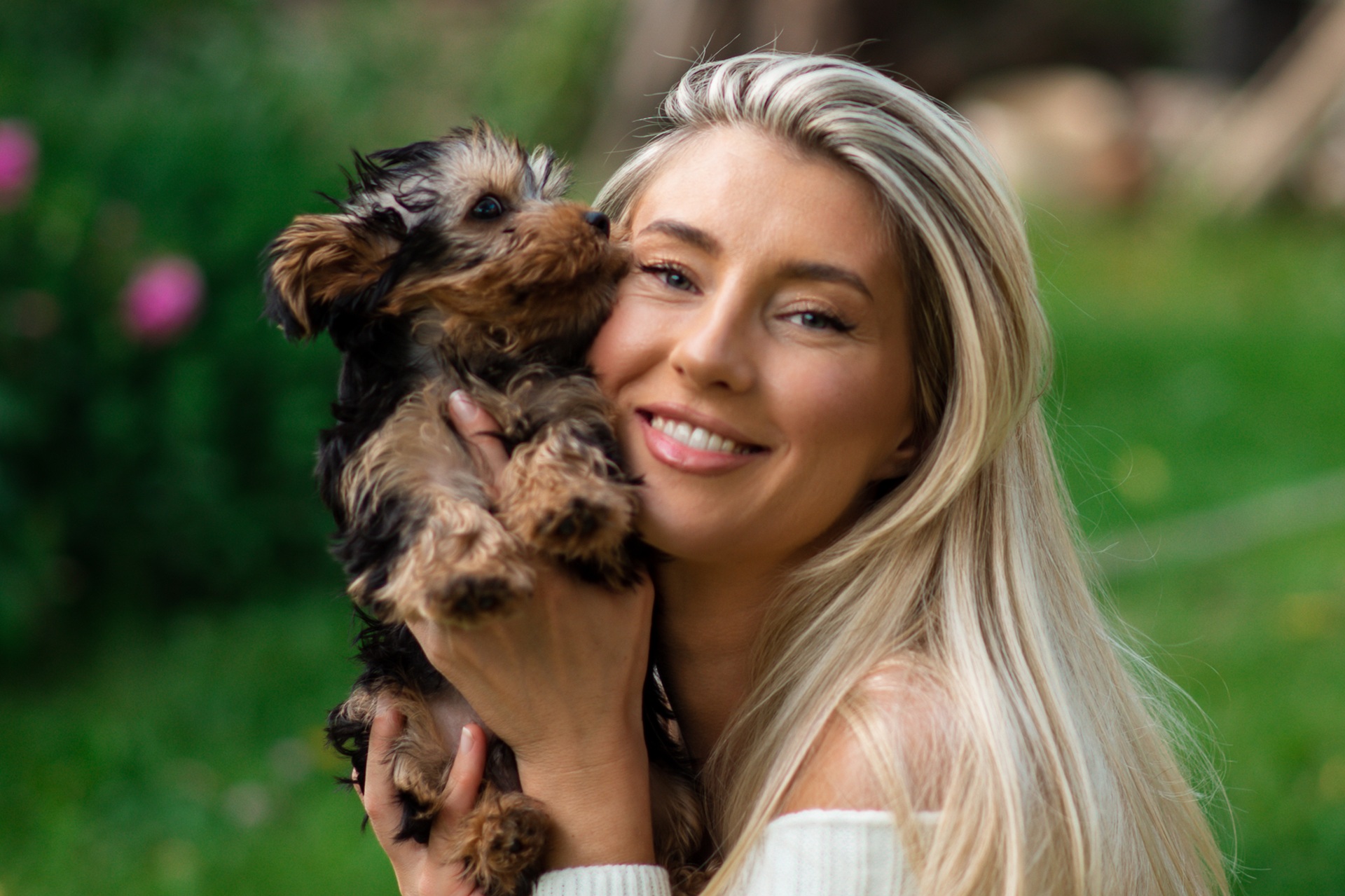 Professional Dog Training